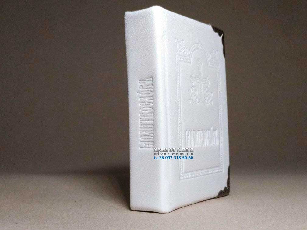 ��������� ����