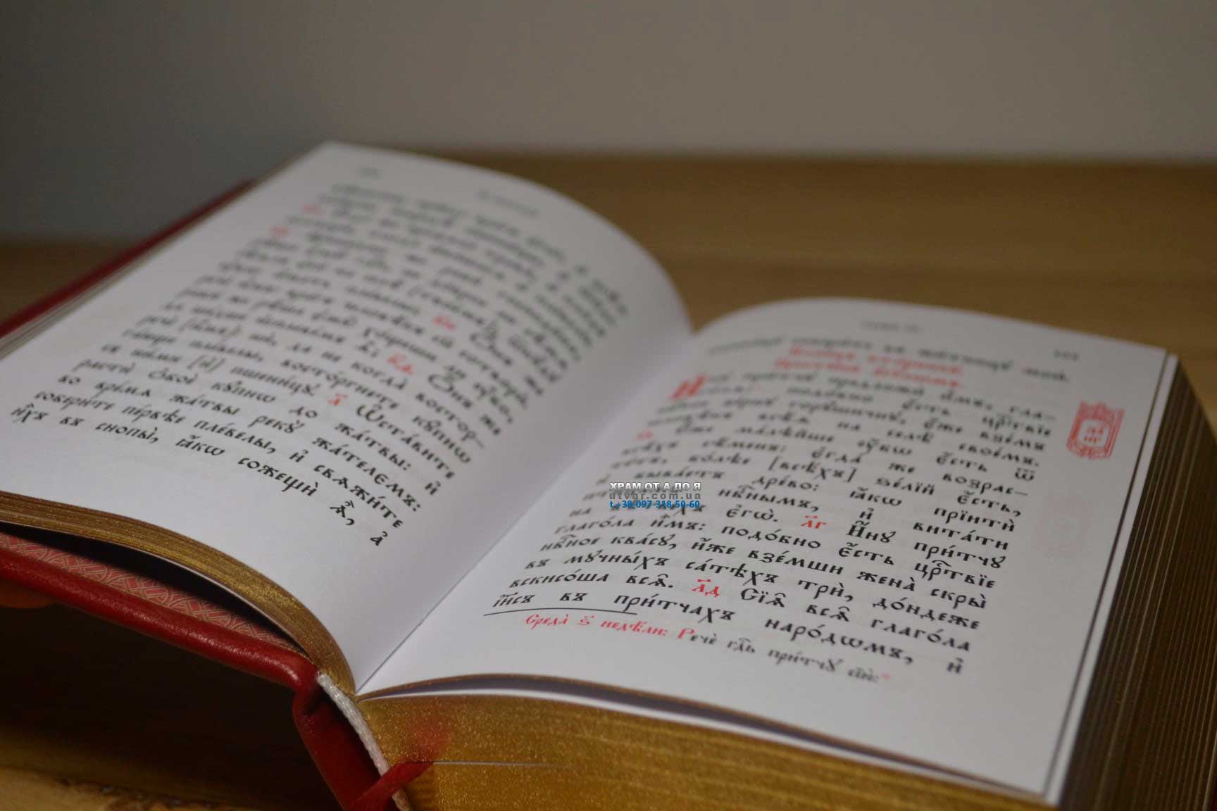 ��������� ����