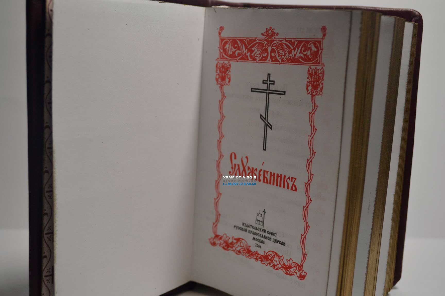 ��������� ����