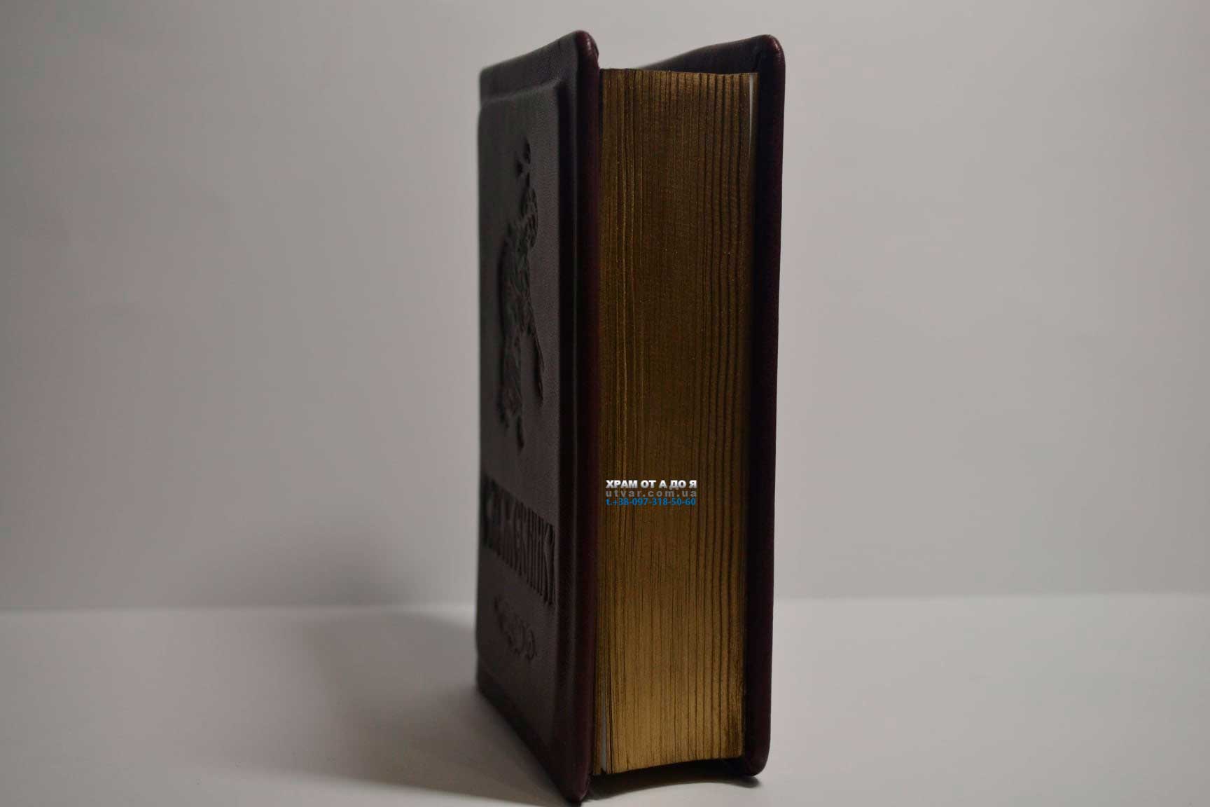 ��������� ����