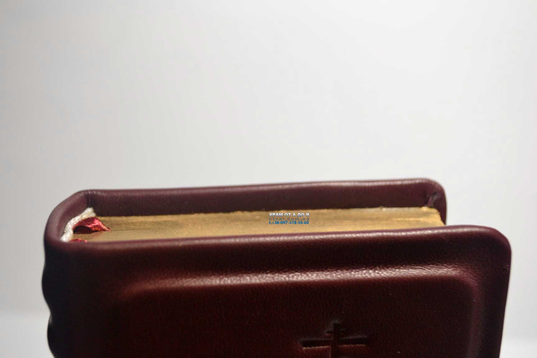 ��������� ����