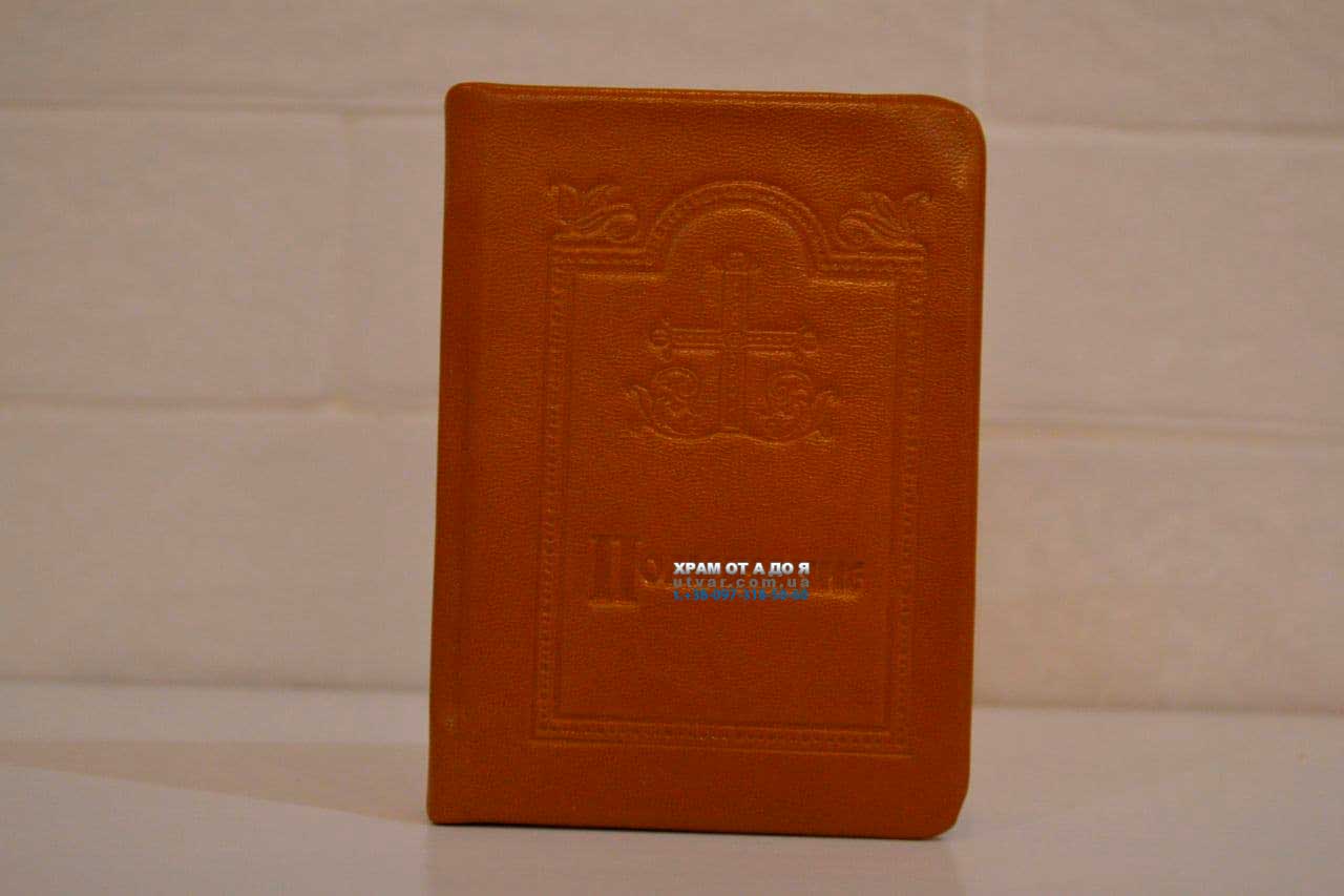 ��������� ����