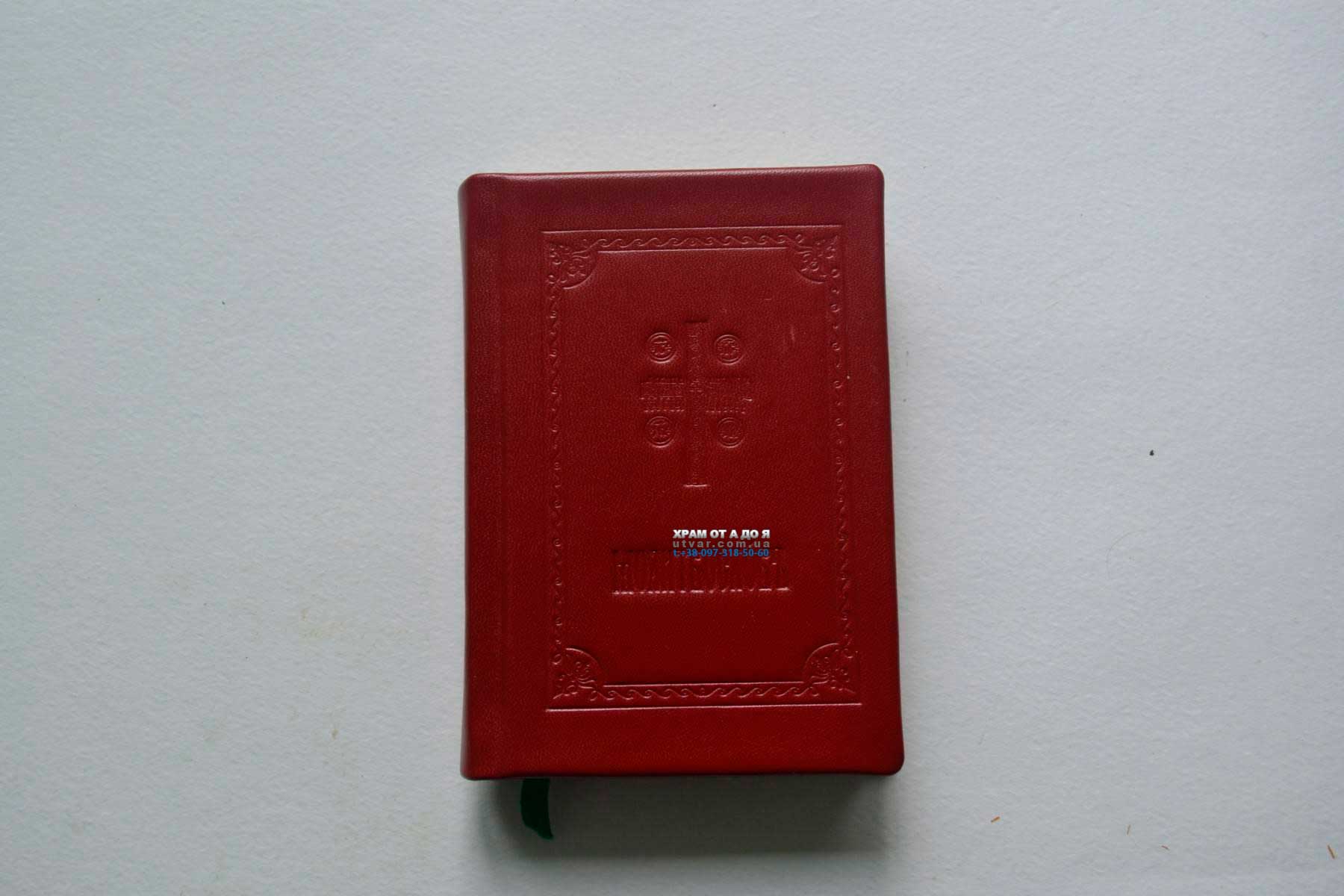 ��������� ����