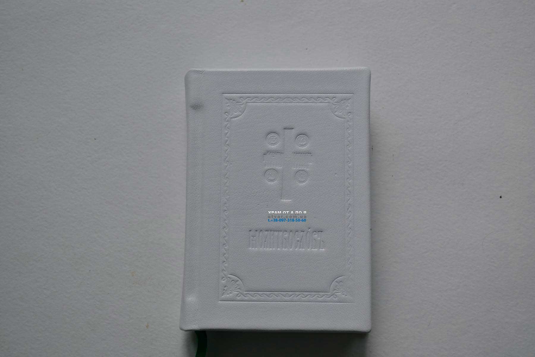 ��������� ����