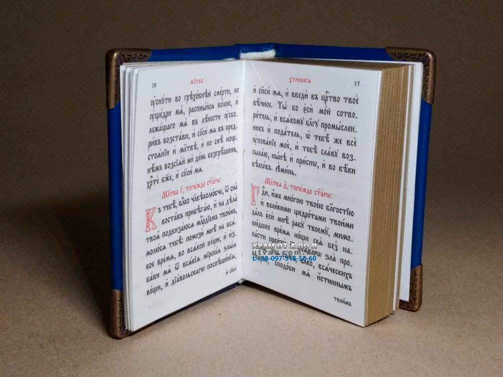 ��������� ����