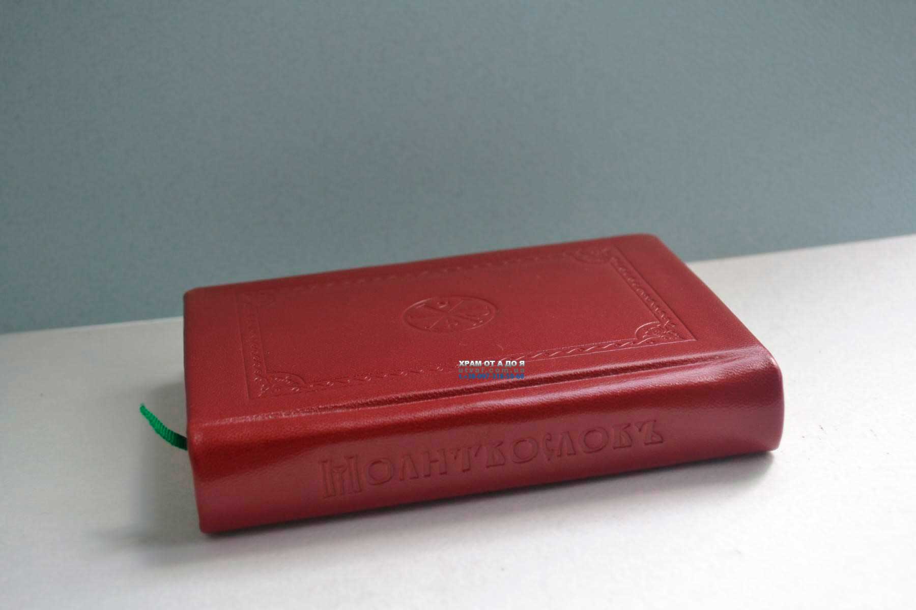 ��������� ����