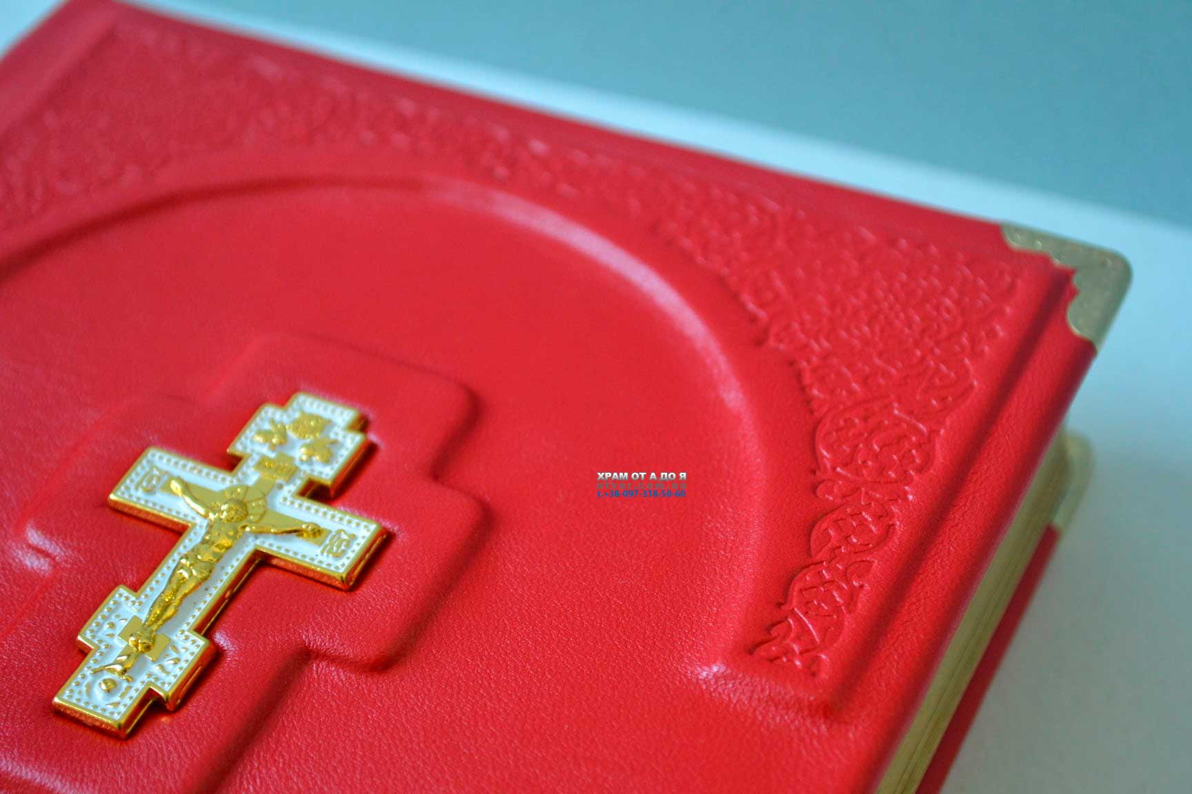 ��������� ����