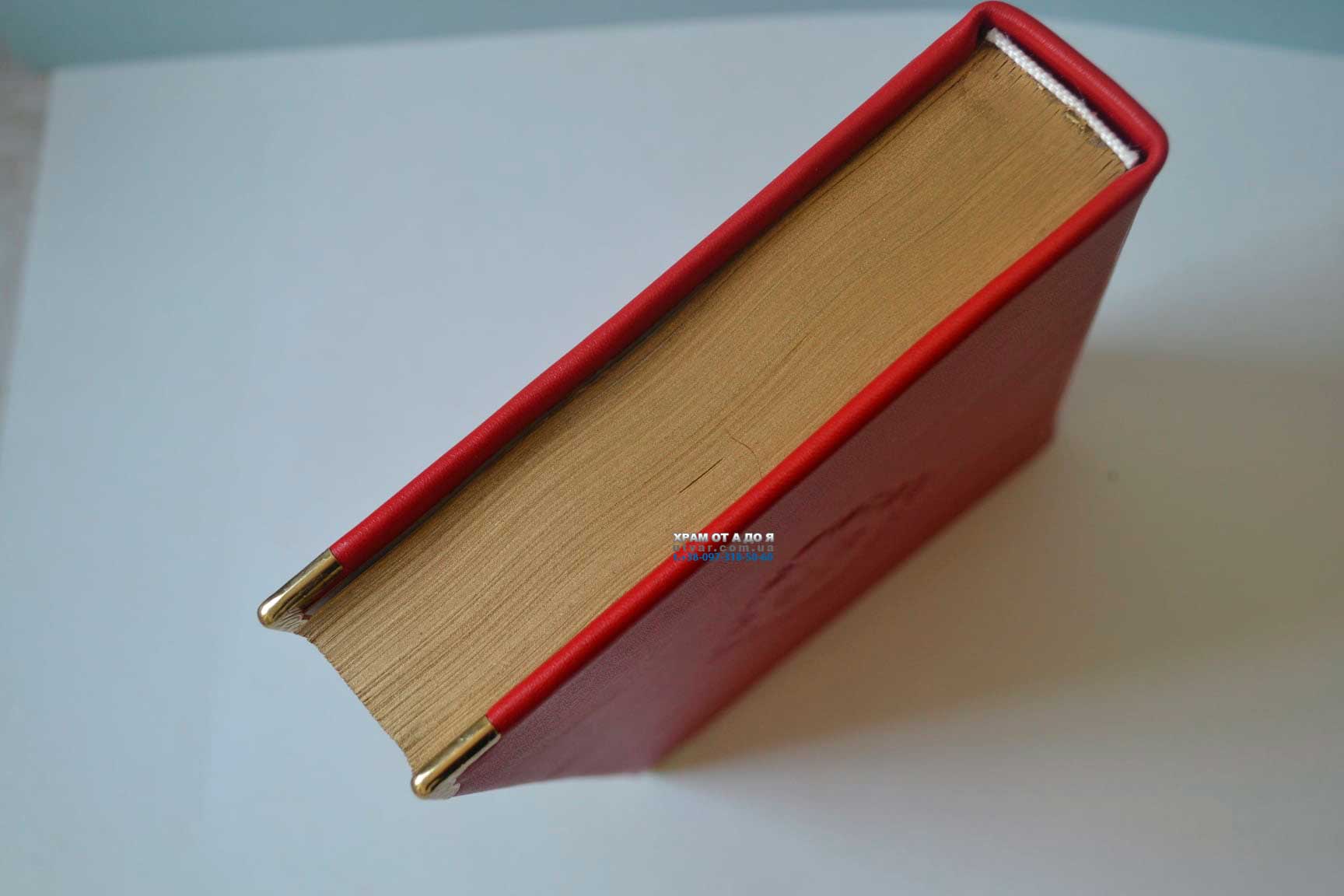 ��������� ����