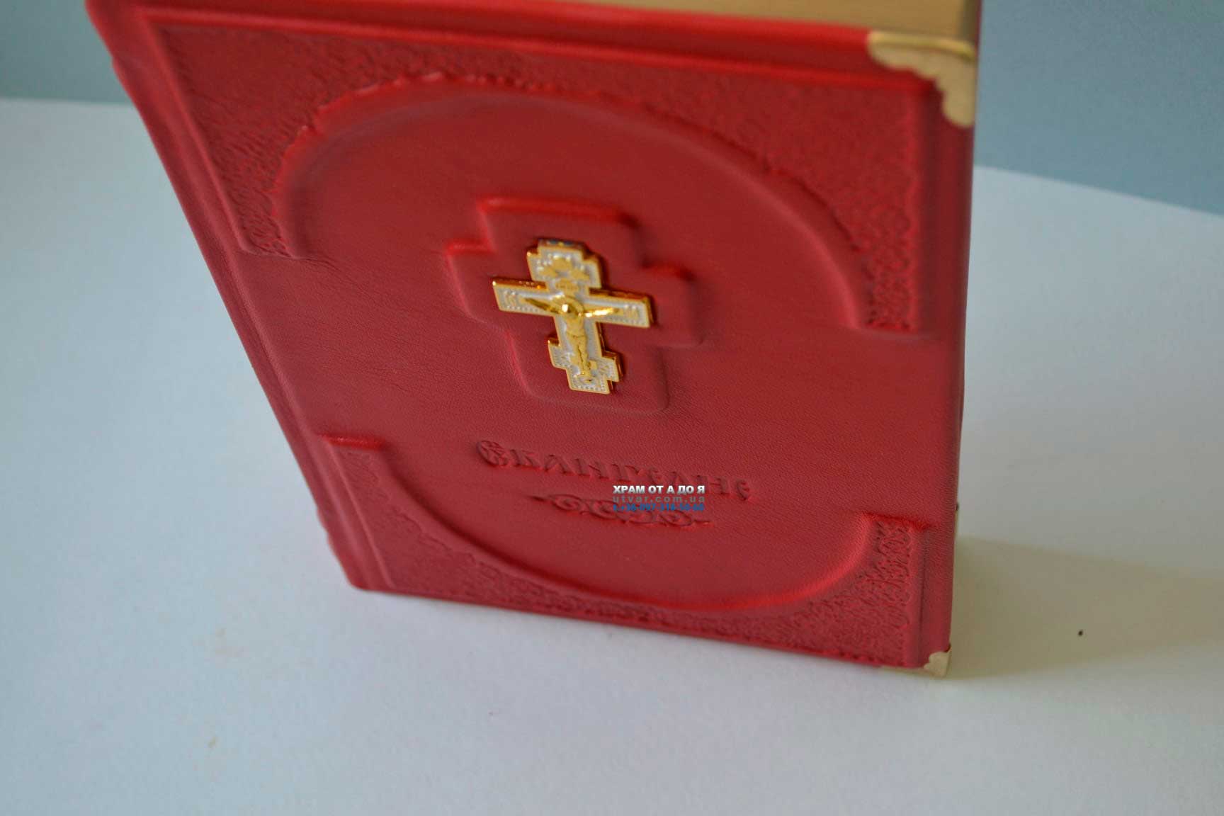 ��������� ����