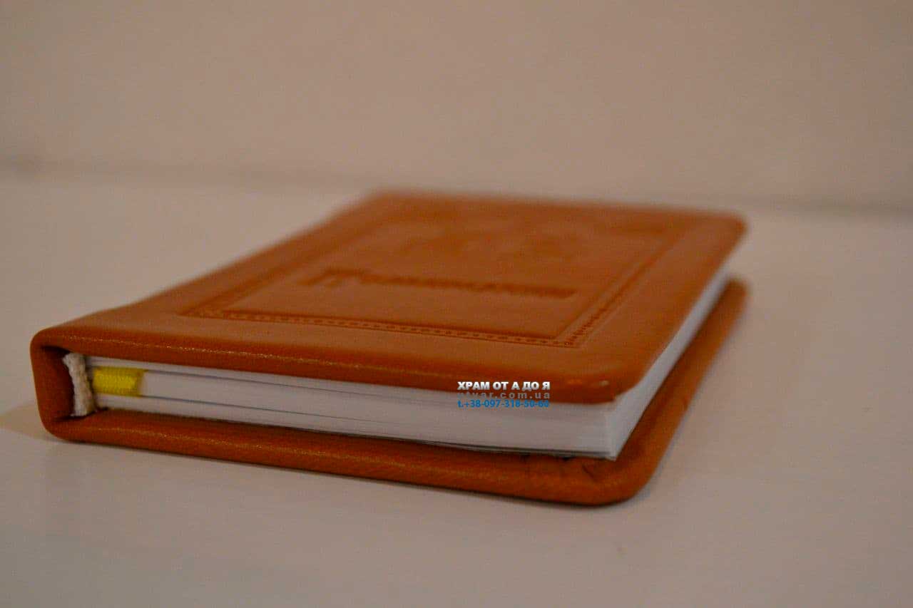 ��������� ����