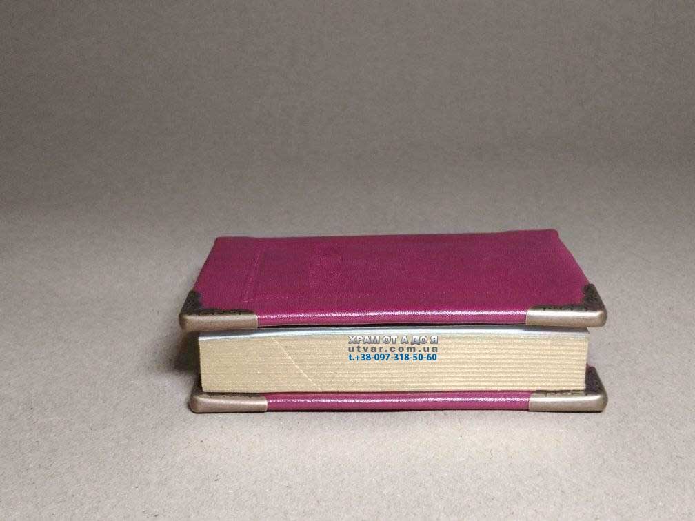 ��������� ����