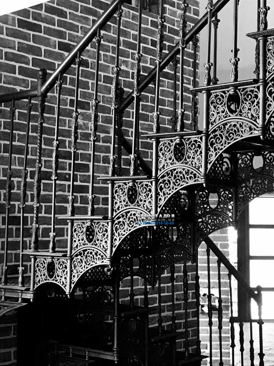 ���� ������� ������� �������