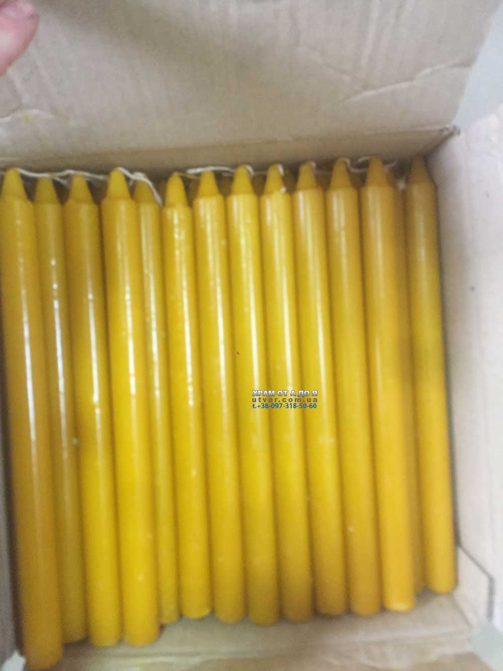 ����� Bispol