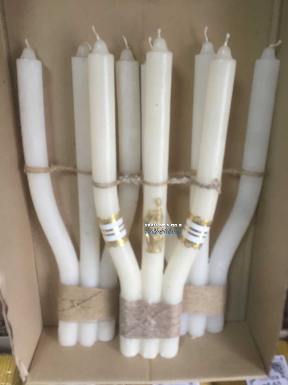 ����� Bispol