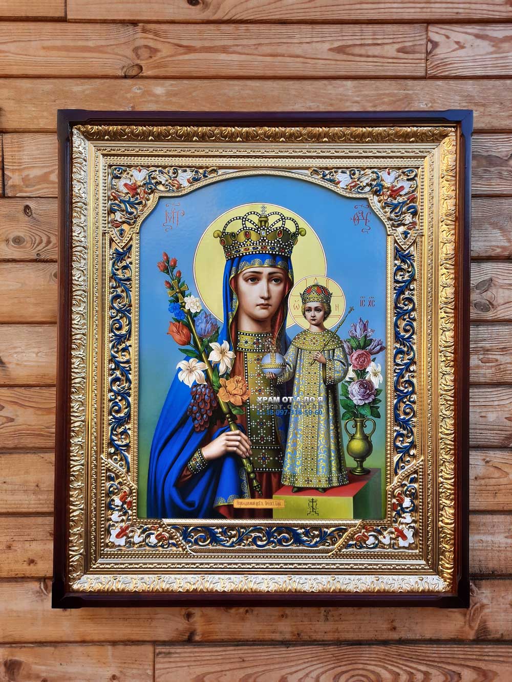 ����� �������