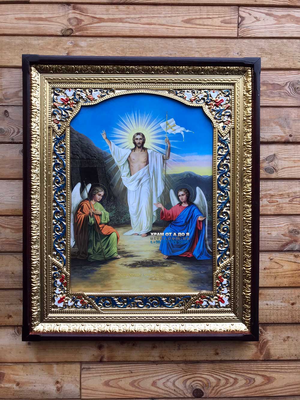 ����� �������