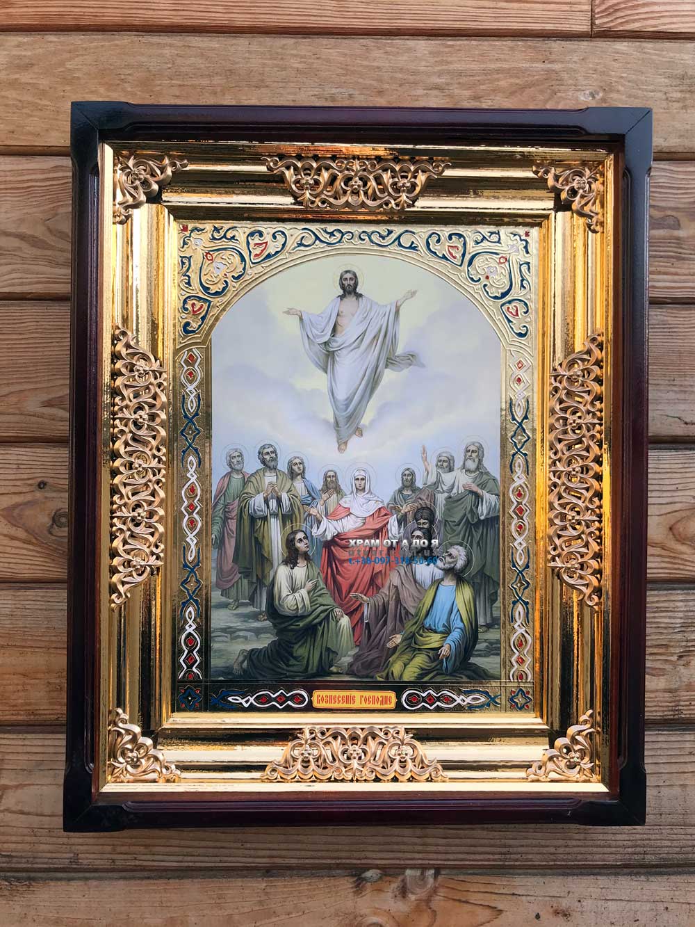 ����� �������