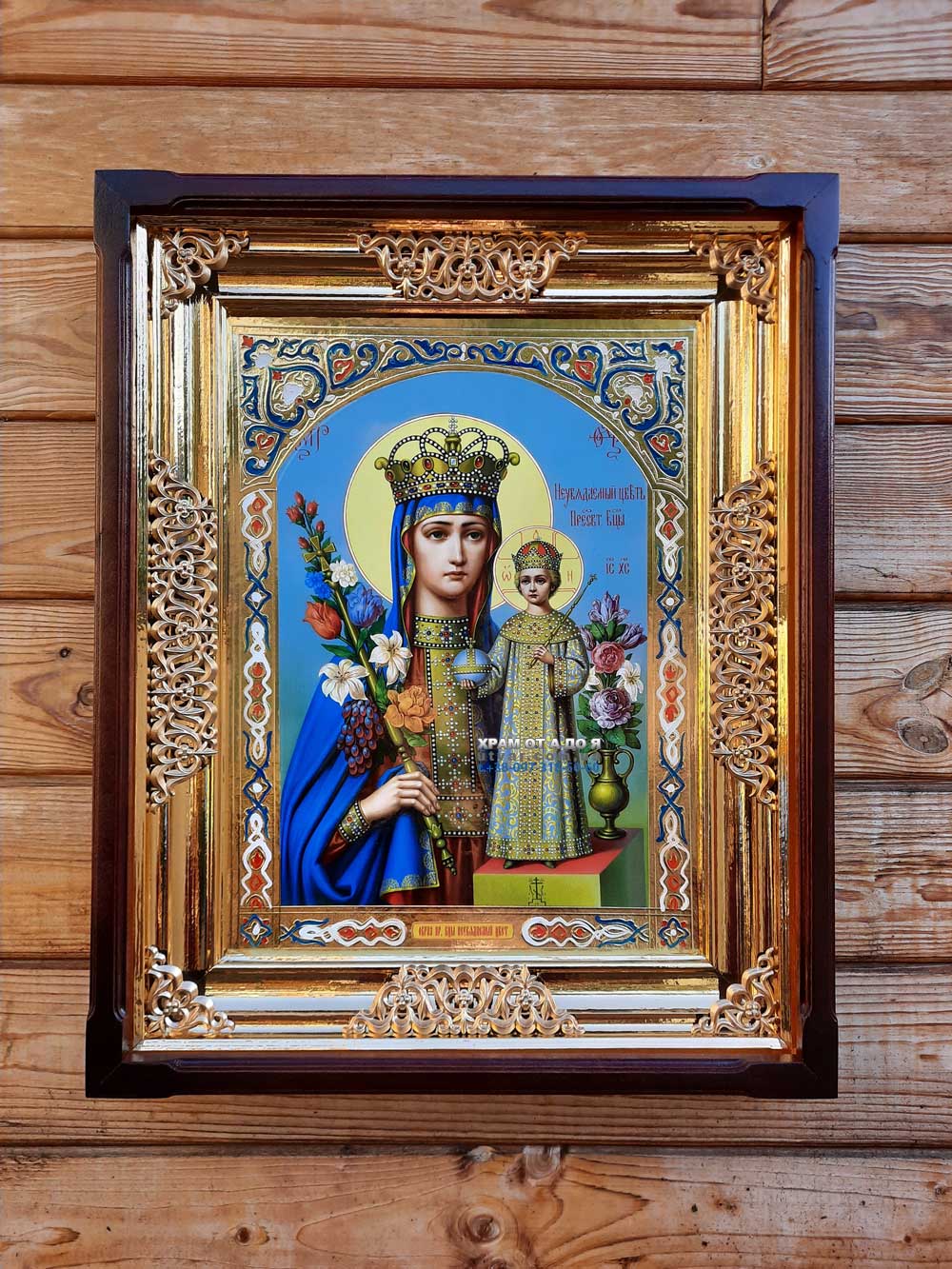 ����� �������