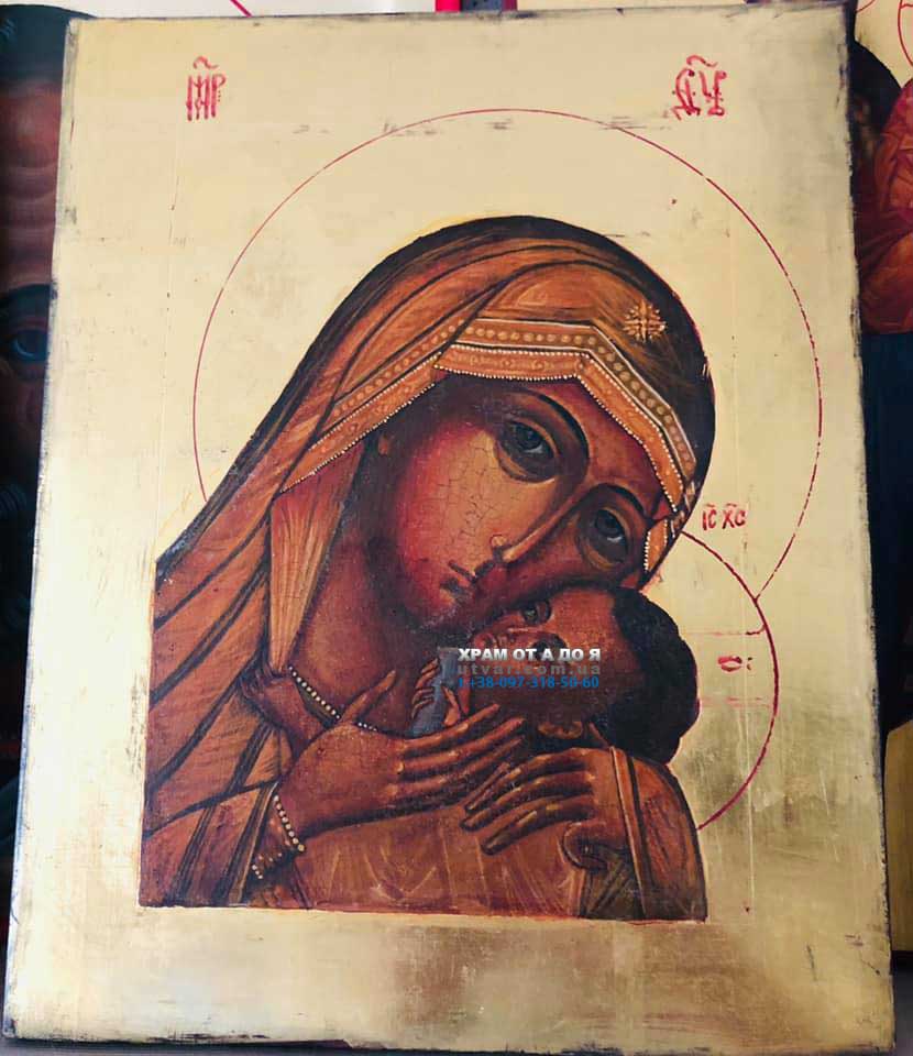 ������ ������