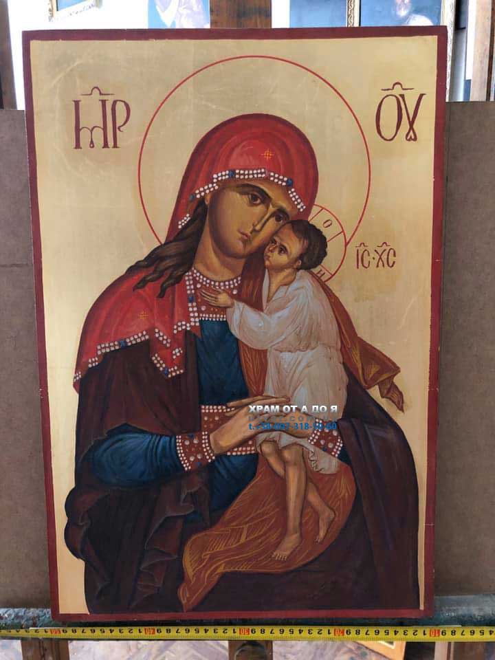 ������ ������